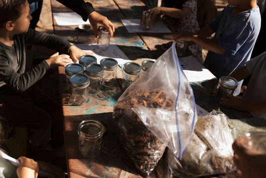 Wilderness Gatherings Outdoor School